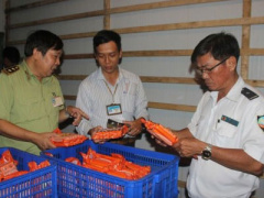 Ảnh bìa bài viết 365960