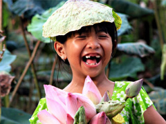 Ảnh bìa bài viết 366154