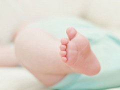 Ảnh bìa bài viết 366255