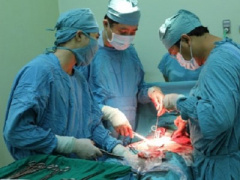 Ảnh bìa bài viết 366423