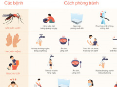Ảnh bìa bài viết 366500