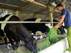 Ảnh bìa bài viết 366720