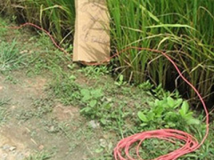 Ảnh bìa bài viết 366771
