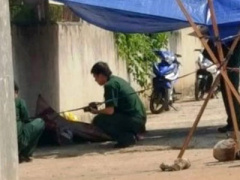 Ảnh bìa bài viết 367067