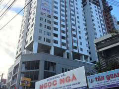 Ảnh bìa bài viết 366994