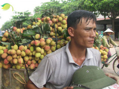 Ảnh bìa bài viết 367249