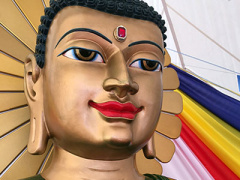 Ảnh bìa bài viết 367324