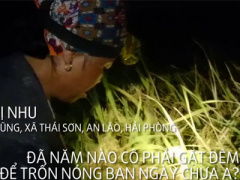 Ảnh bìa bài viết 367370