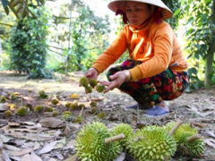 Ảnh bìa bài viết 367519