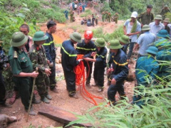 Ảnh bìa bài viết 368041