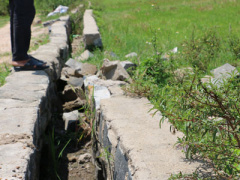 Ảnh bìa bài viết 367889