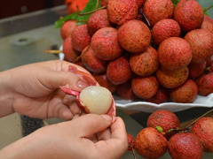 Ảnh bìa bài viết 368082