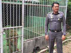 Ảnh bìa bài viết 368120