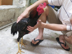 Ảnh bìa bài viết 368066