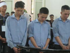 Ảnh bìa bài viết 368150