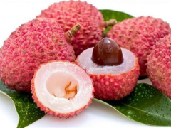 Ảnh bìa bài viết 368185