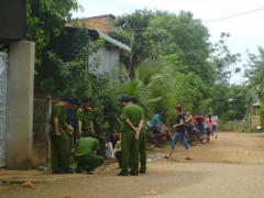 Ảnh bìa bài viết 368297
