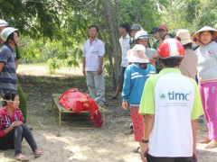 Ảnh bìa bài viết 368184