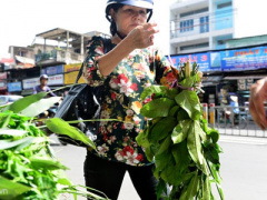 Ảnh bìa bài viết 368355