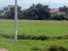 Ảnh bìa bài viết 368717