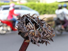 Ảnh bìa bài viết 368659