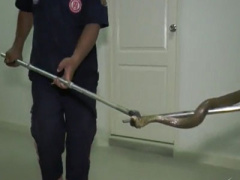 Ảnh bìa bài viết 368702