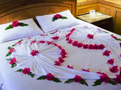 Ảnh bìa bài viết 368546