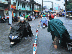 Ảnh bìa bài viết 368916