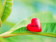 Ảnh bìa bài viết 368942