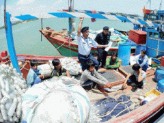 Ảnh bìa bài viết 369028