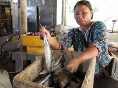 Ảnh bìa bài viết 369050