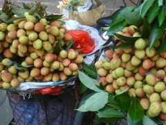 Ảnh bìa bài viết 369017
