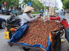Ảnh bìa bài viết 369254