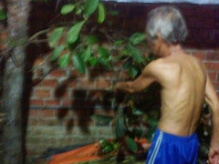 Ảnh bìa bài viết 369402
