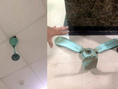 Ảnh bìa bài viết 369573