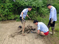 Ảnh bìa bài viết 369546
