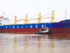 Ảnh bìa bài viết 369463