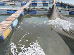 Ảnh bìa bài viết 369917