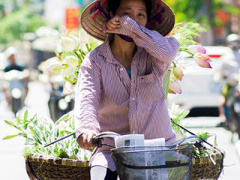 Ảnh bìa bài viết 369696