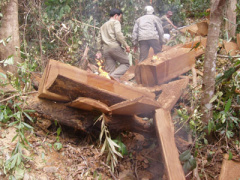 Ảnh bìa bài viết 369936