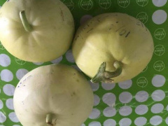 Ảnh bìa bài viết 369850