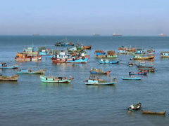 Ảnh bìa bài viết 369883