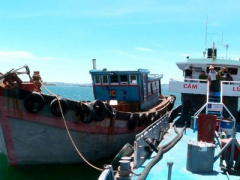 Ảnh bìa bài viết 370211
