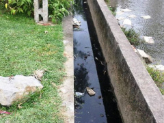 Ảnh bìa bài viết 370166