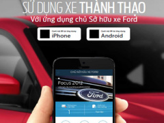 Ảnh bìa bài viết 370461