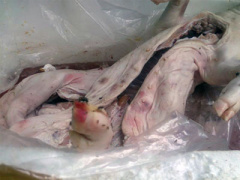 Ảnh bìa bài viết 370483