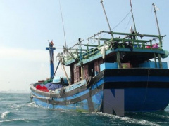 Ảnh bìa bài viết 370295