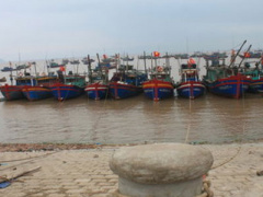 Ảnh bìa bài viết 370459