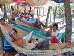 Ảnh bìa bài viết 370591