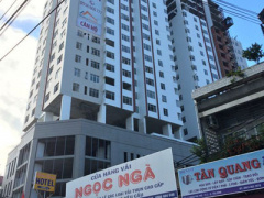 Ảnh bìa bài viết 370572